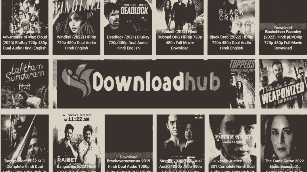 DownloadHub 2023 – 300MB free Dual Audio Bollywood